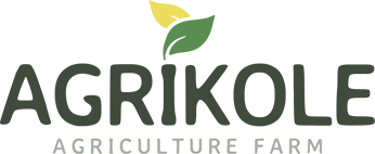 frutosdepaz.com
